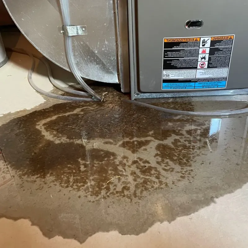 Pipe Burst and Leak Restoration in Baltic, CT