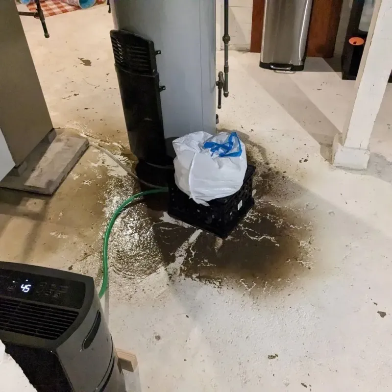 Sewage Backup Cleanup Service in Baltic, CT